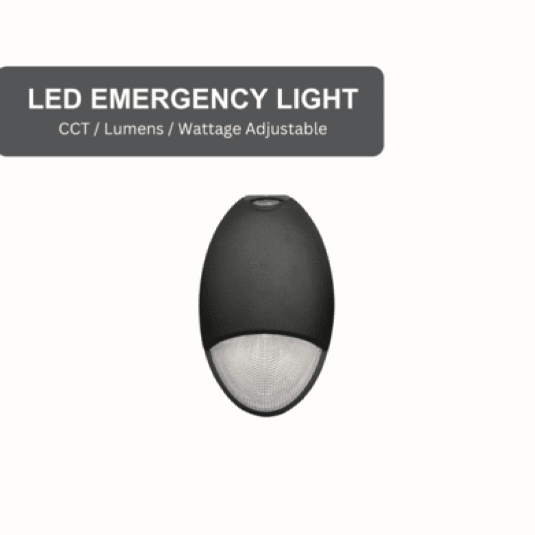 LED EMERGENCY WALL PACK