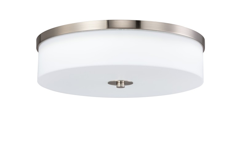 SES-312 CEILING LIGHT